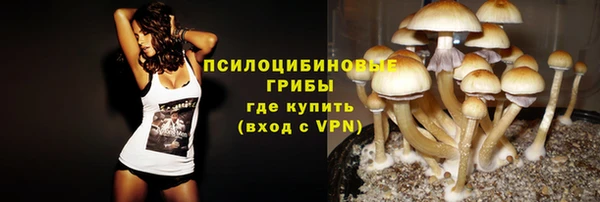 ALPHA PVP Нея