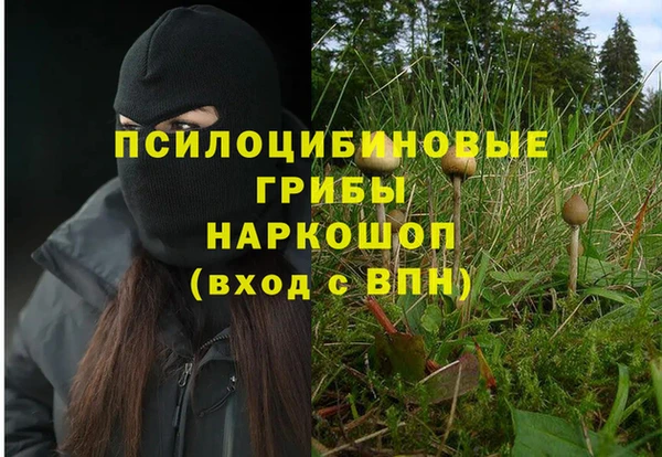 таблы Новодвинск