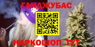 крисы Новозыбков