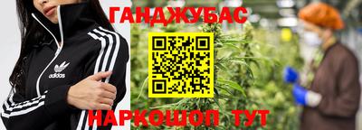 крисы Новозыбков