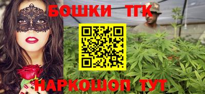 крисы Новозыбков