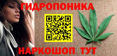 крисы Новозыбков