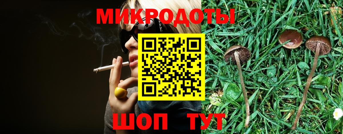 Галлюциногенные грибы Psilocybe  Галлюциногенные грибы Psilocybe  Вход с VPN  Отрадный 