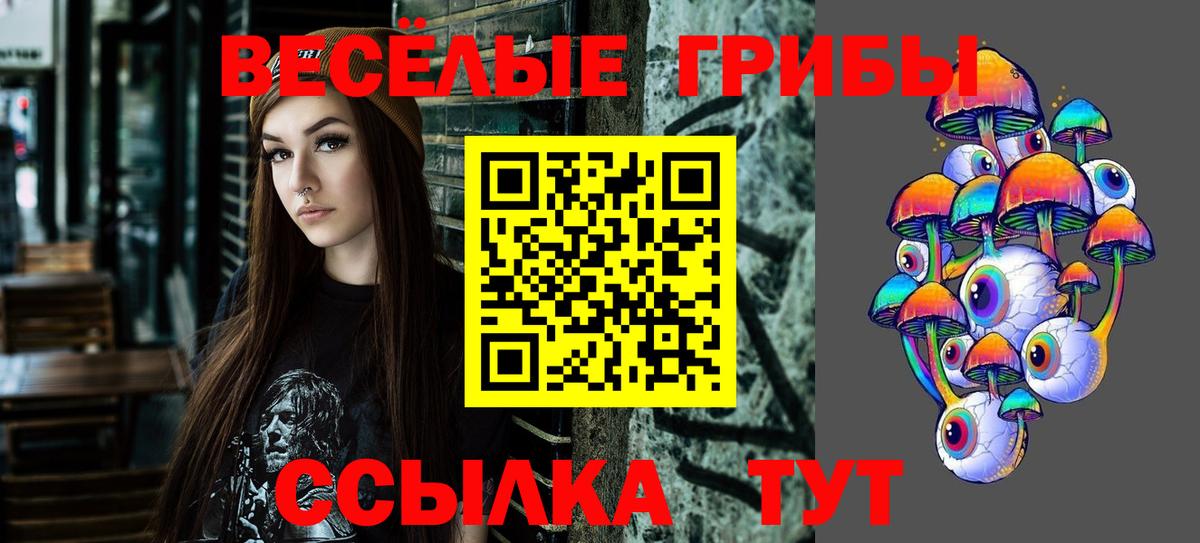 Галлюциногенные грибы прущие грибы  Вход с VPN  Отрадный 