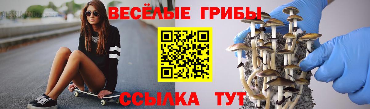 Галлюциногенные грибы мухоморы Отрадный