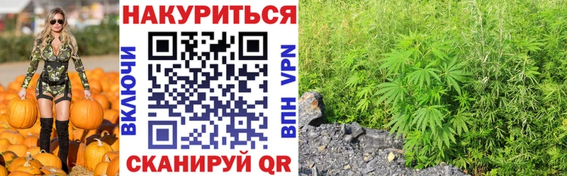 где купить наркоту  Отрадный  Каннабис тримм 